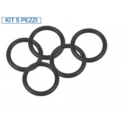 INTEX - Kit 5 pezzi 10745 - Guarnizioni Valvola Plunger e...