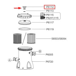BESTWAY - P6112 - Vite per coperchio filtro fig. 1